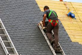 Best Roof Inspection  in USA